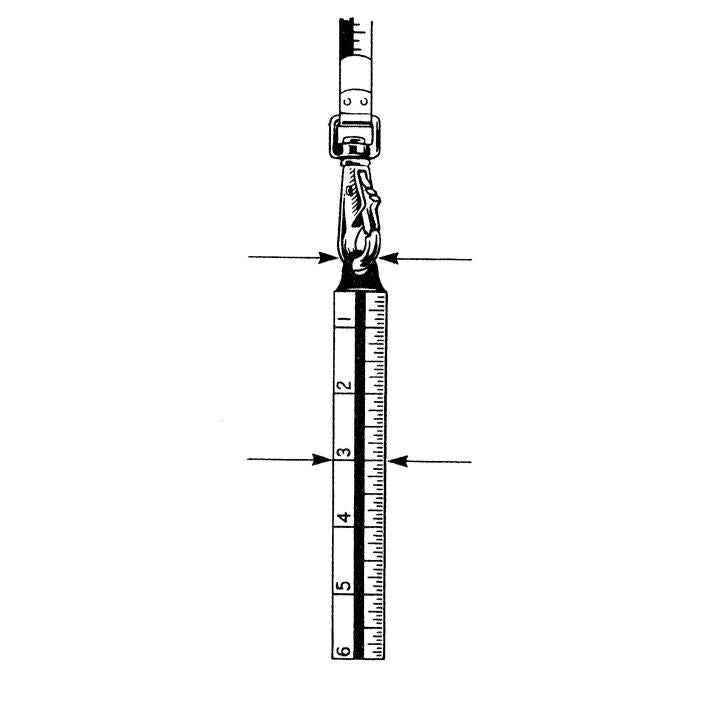 20 oz. Plumb Bob, Solid Brass Outage - BuildNexa FZE 20 oz. Plumb Bob, Solid Brass Outage - BuildNexa FZE